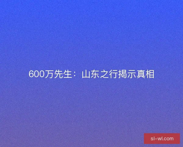 600万先生：山东之行揭示真相