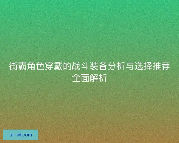 街霸角色穿戴的战斗装备分析与选择推荐全面解析