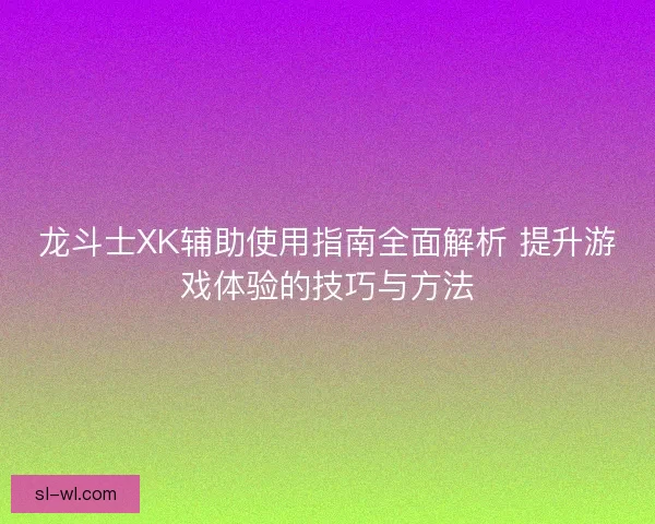 龙斗士XK辅助使用指南全面解析 提升游戏体验的技巧与方法