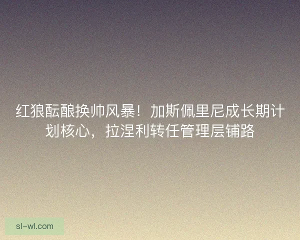 红狼酝酿换帅风暴！加斯佩里尼成长期计划核心，拉涅利转任管理层铺路