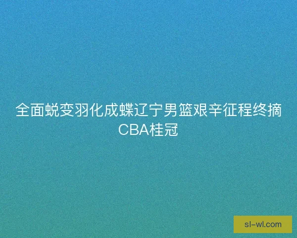 全面蜕变羽化成蝶辽宁男篮艰辛征程终摘CBA桂冠