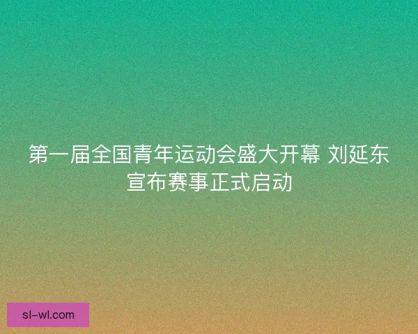 第一届全国青年运动会盛大开幕 刘延东宣布赛事正式启动