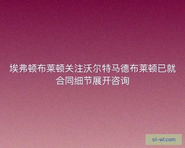 埃弗顿布莱顿关注沃尔特马德布莱顿已就合同细节展开咨询